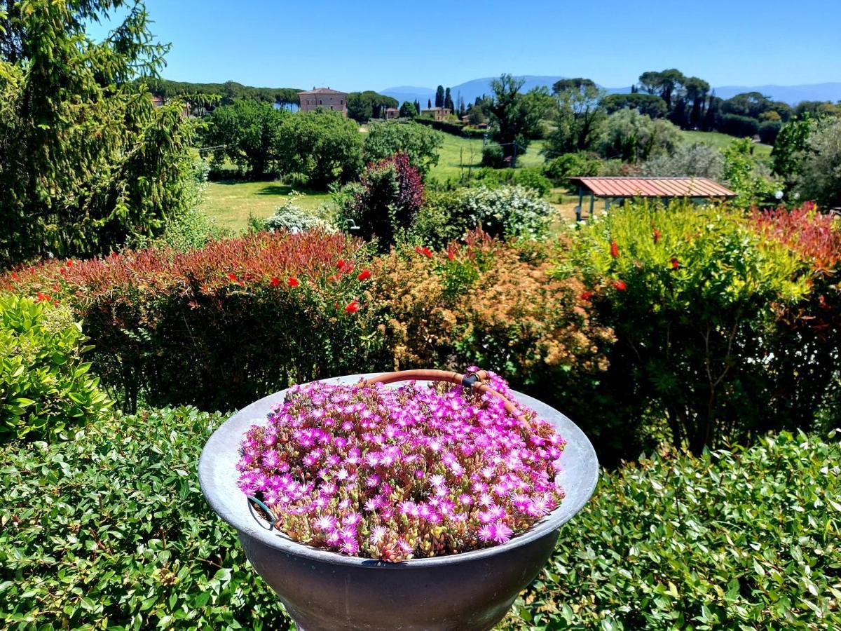 Montebello Park Hotel Perugia Eksteriør billede