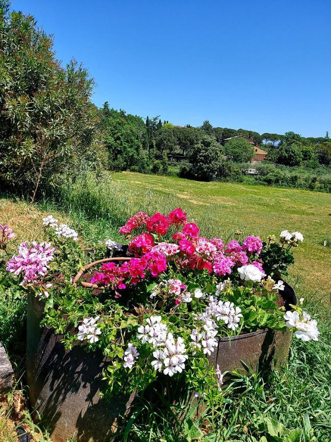 Montebello Park Hotel Perugia Eksteriør billede
